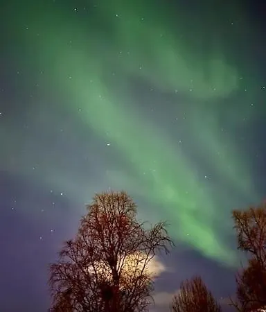 Koselig Leilighet, Naert Sentrum Lägenhet *