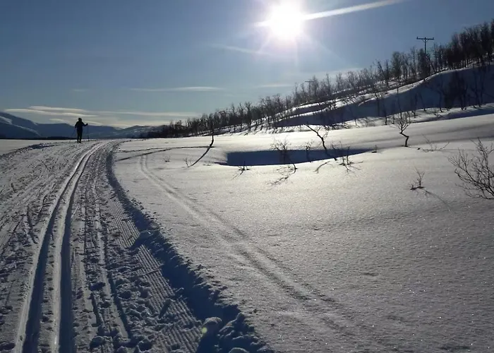 Koselig Leilighet, Naert Sentrum * Tromsø